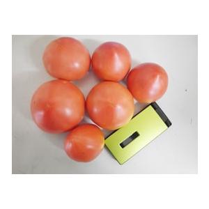 哲義さんのトマト（1kg）