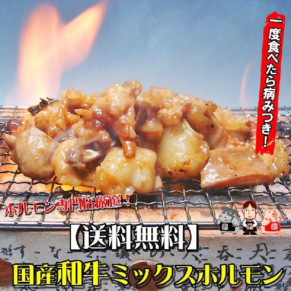 厳選 和牛ミックスホルモン500g 送料無料 焼肉 モツ鍋に BBQ お歳暮 お中元 焼肉 ホルモン B級グルメ