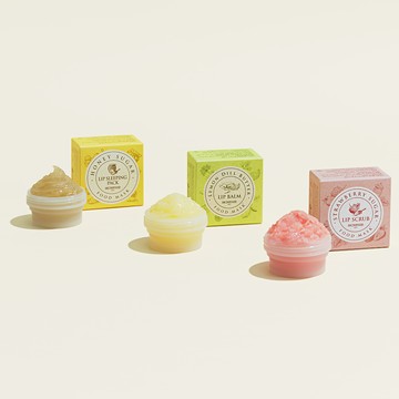 SKINFOOD Food Mask Lip Care 3 Types 21ml