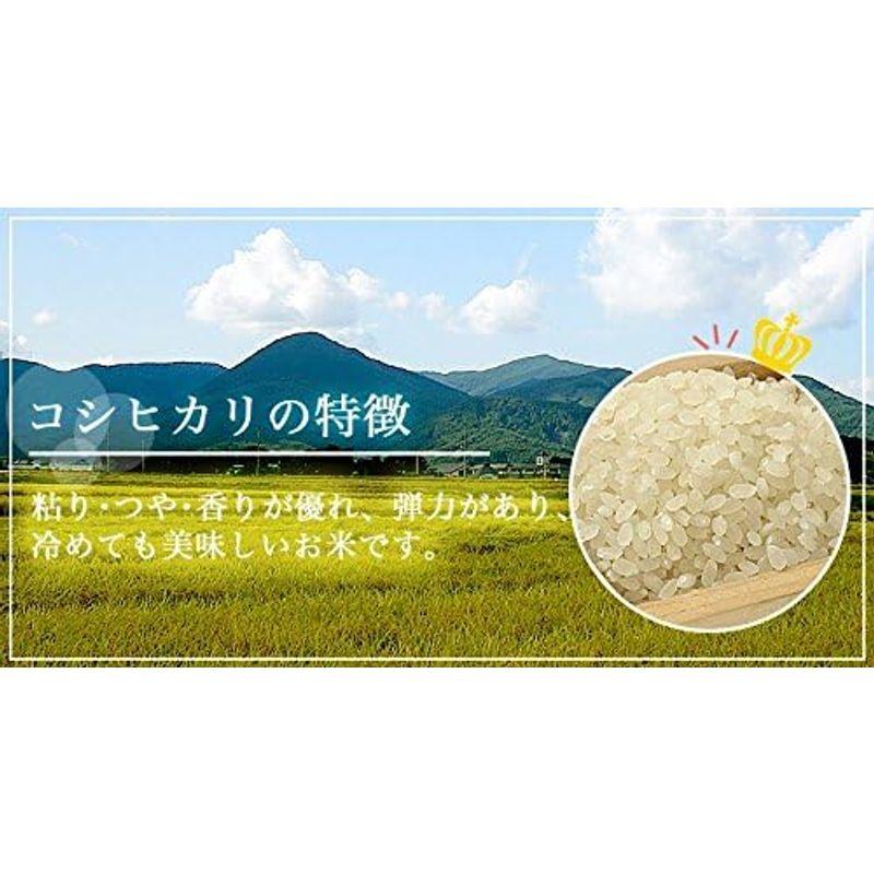 精米福島県中通り産 白米 コシヒカリ 5kg 令和4年産 沖縄対応不可