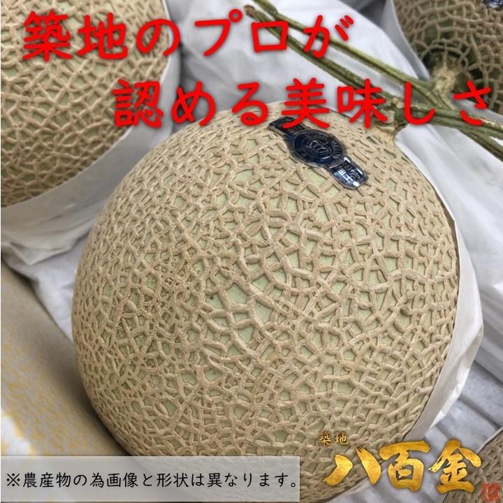 絶品 クラウンメロン マスクメロン 白等級 １ケース（６玉入り） 静岡県産メロン 農林水産大臣賞受賞