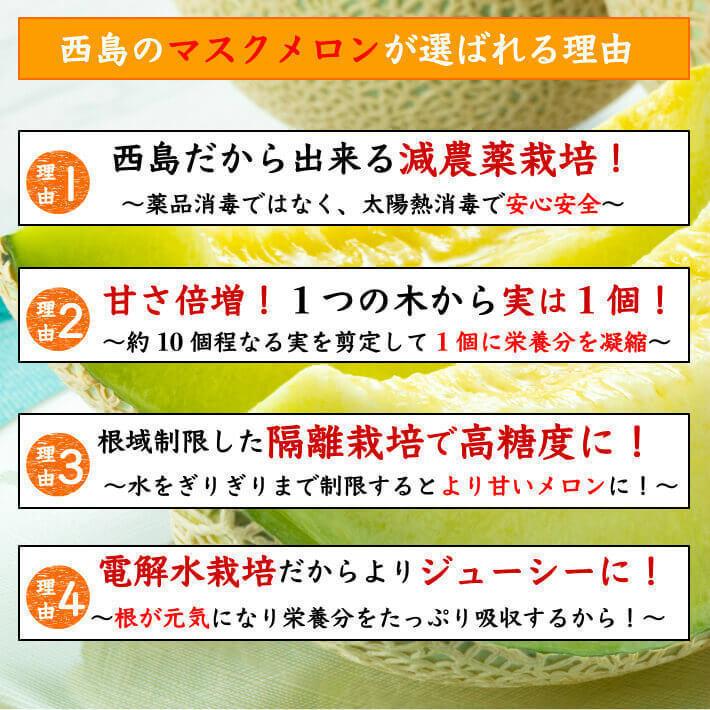 贈答用 高級ギフト箱 厳選マスクメロン 大玉(約1,5ｋｇ×2) フルーツ 果物