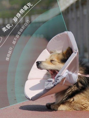 寵物頭套軟伊麗莎白圈狗防舔脖套大型犬恥辱圈寵物貓咪頭套伊莉莎白貓頭套 雙11全館免運