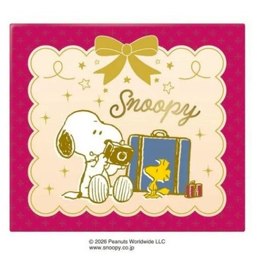 嘻嘻日貨🐾 現貨 日本限定 SNOOPY 史努比 造型巧克力 日本零食 日本餅乾 點心 情人節禮物