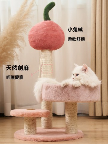 OSLE 貓爬架貓窩貓樹一體架子貓抓板小型不占地貓架子貓咪玩具用品大全