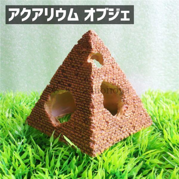 数量限定】 AS規格：クヌギ ホダ木 産卵木 約7cm以下 1本 SN-70KA