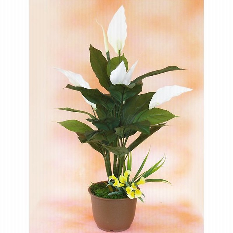 造花 観葉植物 スパティフィラムの風水グリーンアレンジ 南 70 Ct触媒 人工観葉植物 フェイクグリーン 通販 Lineポイント最大0 5 Get Lineショッピング