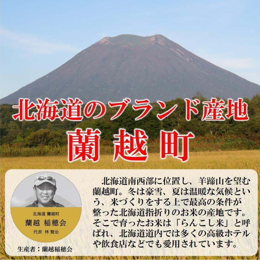 新米 お米 ななつぼし 蘭越産 北海道産 10kg 令和5年産