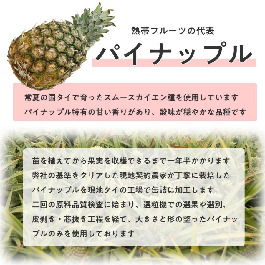 パイナップル 缶詰 タイ産 スライス 1号缶 個数約40-45枚  輪切り バラ売り 天狗缶詰 業務用 食品