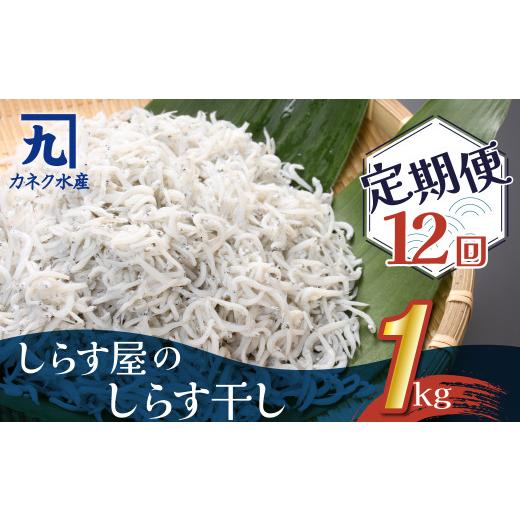 ふるさと納税 愛知県 碧南市 しらす屋のしらす干し　１kg×12ヶ月　定期便　H006-088