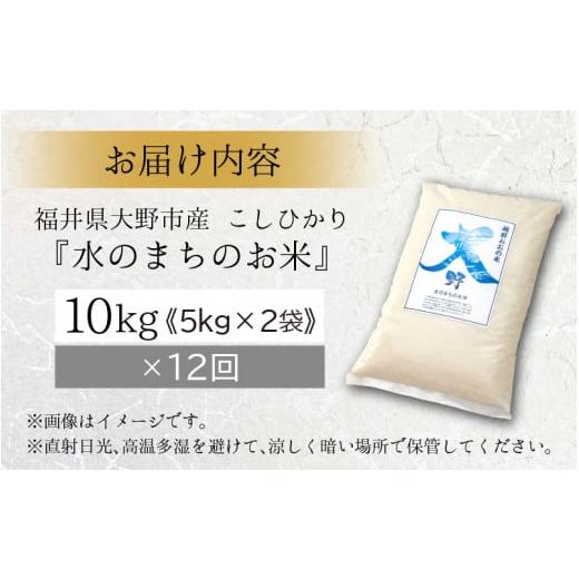 ふるさと納税 福井県 大野市 こしひかり 10kg×12回 計120kg「エコファーマー米」水のまちのお米