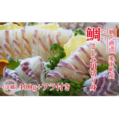 朝〆直送!愛南町産 真鯛さしみ用切り身(400g アラ付き)