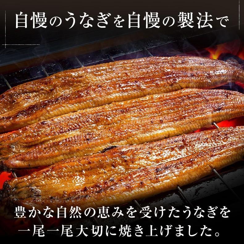 缶詰 うなぎ 蒲焼き 国内産 四万十うなぎ ひつまぶし 1缶