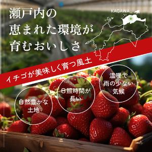 ふるさと納税 香川県オリジナル品種！  いちご 400g化粧箱×2箱 香川県東かがわ市