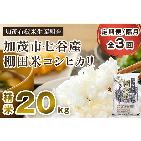 ふるさと納税 新潟県加茂市 七谷産 棚田米コシヒカリ 精米20kg（5kg×4）白米 加茂有機米生産組合 定期便 定期購入 .. 新潟県加茂市