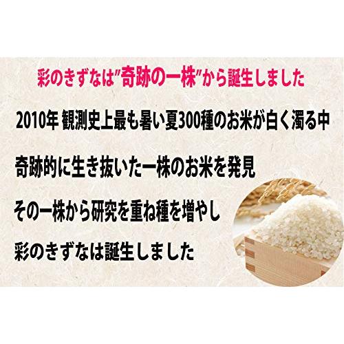 新米 5年産 埼玉県産 白米 彩のきずな10kg (5kg×2袋) （検査一等米）食味ランキング特A受賞。