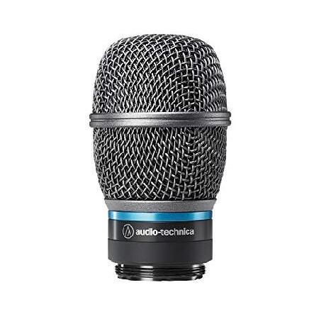 オーディオテクニカ AUDIO-TECHNICA ATW-C5400 コンデンサー型マイクロホンカプセル並行輸入