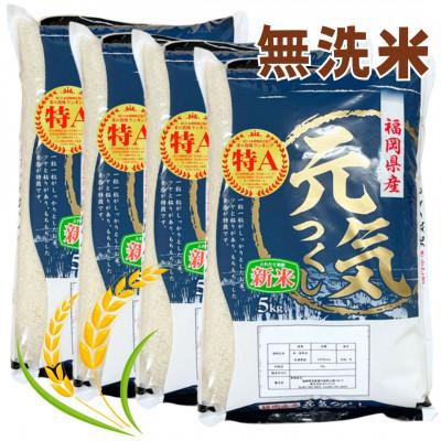 ふるさと納税 大川市 福岡県産ブランド米「元気つくし」無洗米20kg(5kg×4袋)(大川市)