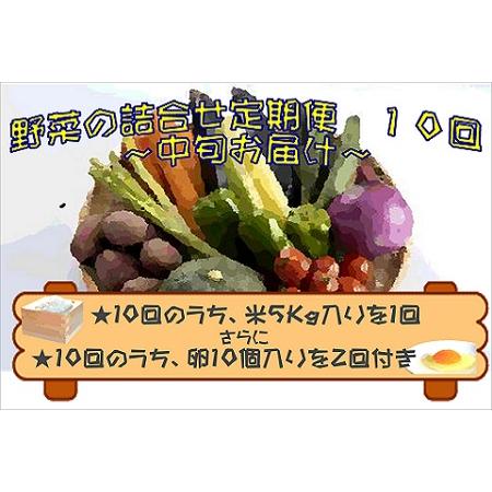 ふるさと納税 米5kgと卵20個付き！野菜の詰め合わせ定期便10回(中旬) 長崎県松浦市