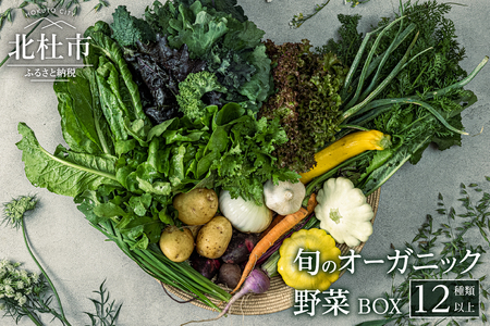 旬のオーガニック野菜BOX_fu01