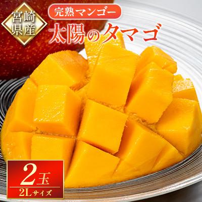 ふるさと納税 新富町 宮崎特産品　完熟マンゴー「太陽のタマゴ」2L×2個