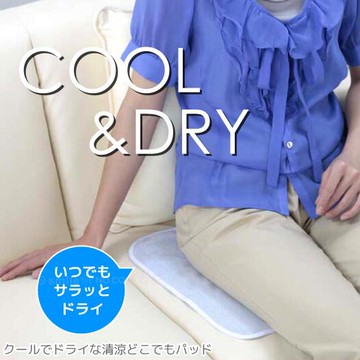 日本 FUJIPACKS  COOL & DRY 涼感防汗坐墊  日本製