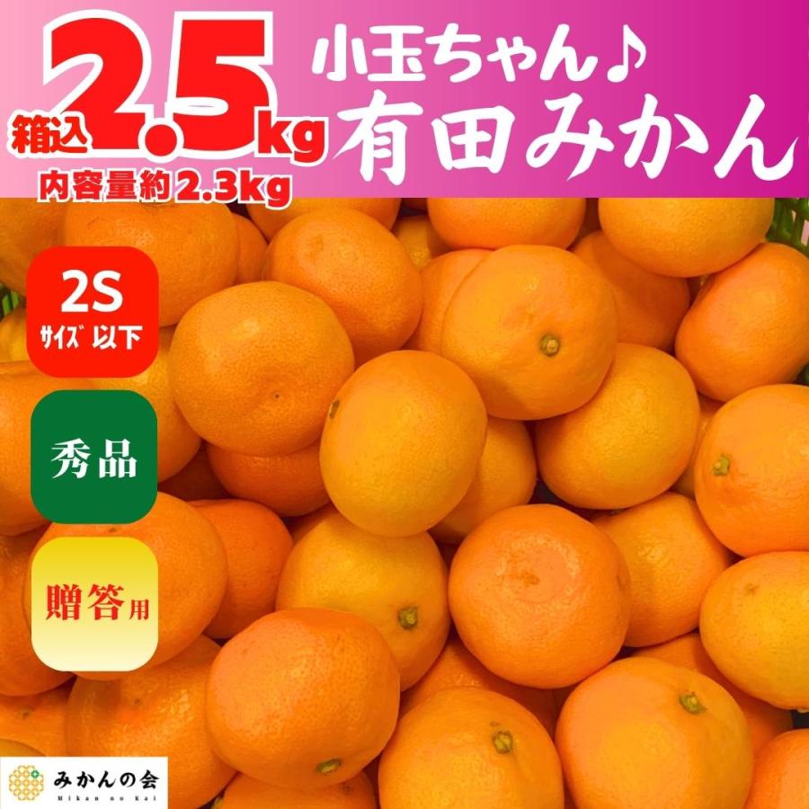 みかん 小玉ちゃん 箱込 2.5kg 内容量 2.3kg 2S サイズ以下 秀品 有田みかん 和歌山県産 産地直送 贈答用 