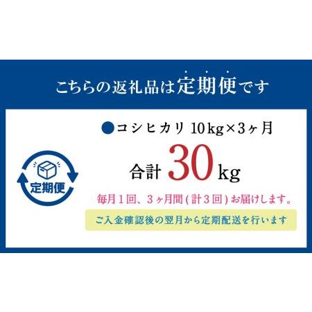 ふるさと納税  大分県産 コシヒカリ 10kg×3回 計30kg 精米 お米 こしひかり 大分県竹田市