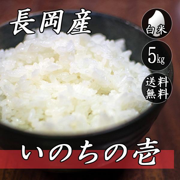 お米 5kg 新潟県長岡産 いのちの壱 5kg×1袋 送料無料 令和5年産米 白米