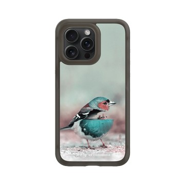 iPhone 15 Pro Max AirX 本質黑 - Julien Tabet - 水鳥