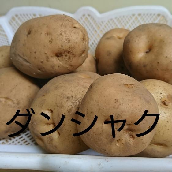 販売期間2023 12 31まで 野菜 じゃがいも やさかえファームのじゃがいも ３種セット (サイズばら)  産地直送