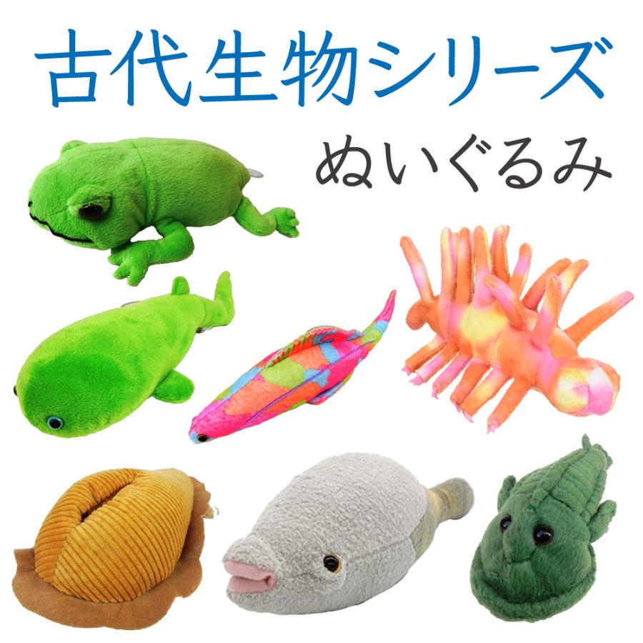 Amazon | ガラスケース&カバーセット 400High | ジェックス
