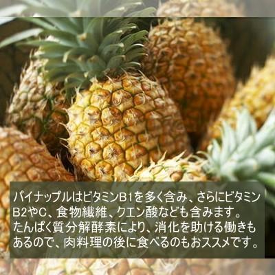 ドライフルーツ ドライパインダイスカット 1kg(500g×2) タイ産 おつまみ ギフト