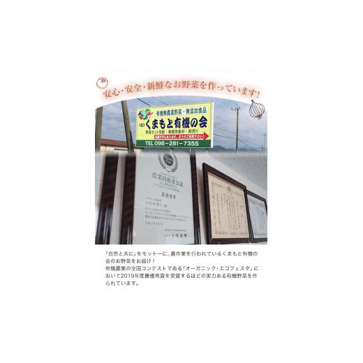 ふるさと納税 熊本県 御船町 安心・安全の熊本県御船町産 厳選8品目 安心・安全の新鮮野菜セット《30日以内に順次出荷(土日祝除く)》