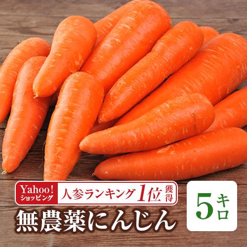 人参 無農薬人参 にんじん ジュース用 訳あり 5kg 5キロ 国産 ニンジン にんじんジュース ゲルソン療法