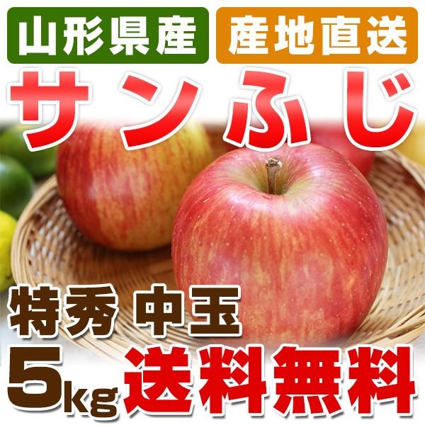 送料無料 サンふじ りんご 山形県産 特秀 中玉 5kg箱 (18〜20玉入) ふじ りんご リンゴ お歳暮 御歳暮 お年賀 御年賀 贈答 