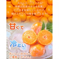 ご家庭用 冷凍みかん 約5kg サンファーム 《30日以内に順次出荷(土日祝を除く)》和歌山県 紀の川市