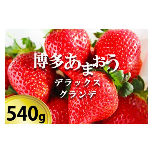 ふるさと納税 福岡県 小郡市 いちごの王様「博多あまおうデラックス＆グランデ」２パック