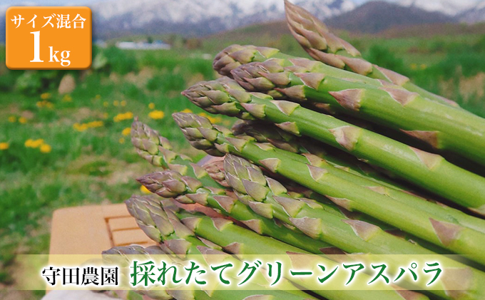 北海道 ふらの グリーン アスパラガス 約1kg サイズ混合 (守田農園)