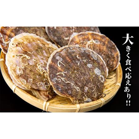 ふるさと納税 北海道 豊浦町 殻付き 三年貝 ホタテ 4kg ×2箱 ほたて 貝 海鮮 海 帆立 噴火湾 北海道豊浦町