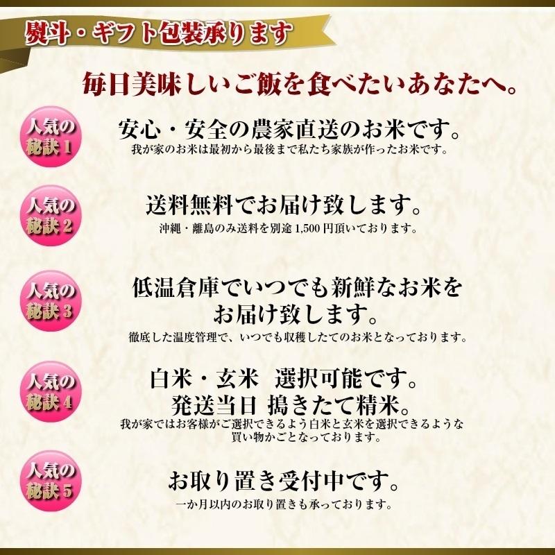 新米　令和５年産　米 20kg 送料無料　秋田県産 減農薬 特別栽培米 あきたこまち 玄米（10kg×2袋） 一等米　お米　白米 18kg