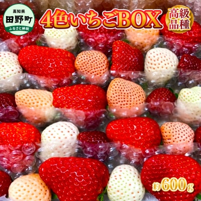 ≪農園直送≫ 高級品種4色いちごBOX　計600g程度