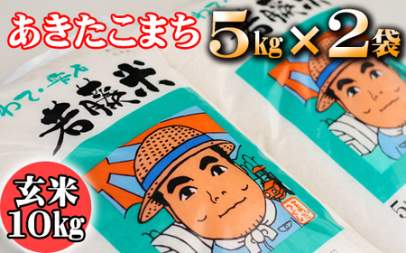 新米 雫石町産 あきたこまち 玄米 約10kg  ／ 米