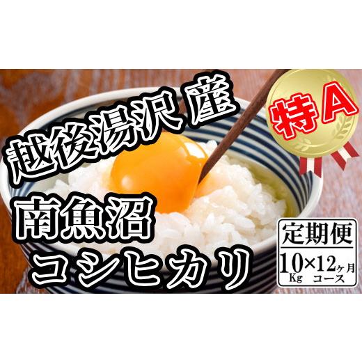 ふるさと納税 新潟県 湯沢町 令和5年産 「越後湯沢産」