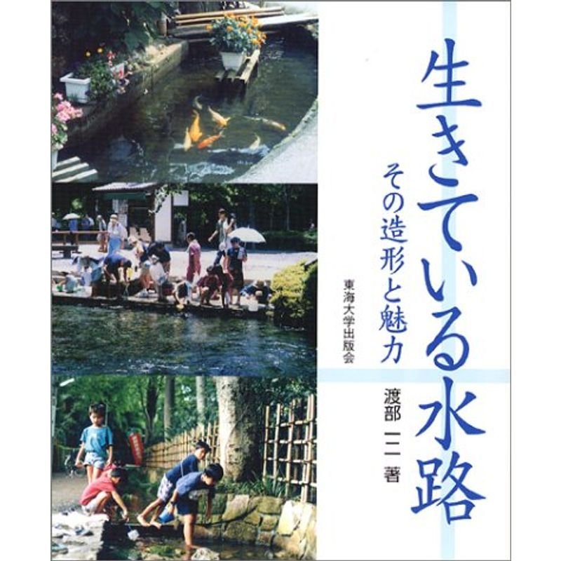 生きている水路?その造形と魅力