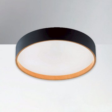 48W四段變光吸頂燈 B152-81-24945