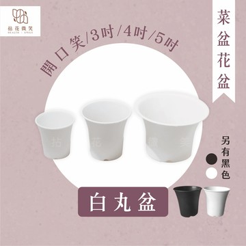 【拈花微笑】開口笑｜白丸盆｜3吋&4吋&5吋｜多肉植物｜仙人掌｜塊根植物｜觀葉植物｜龍舌蘭