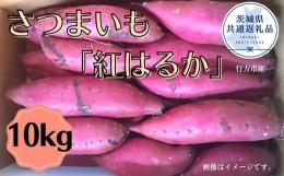 さつまいも「紅はるか」10kg(茨城県共通返礼品・行方市産)