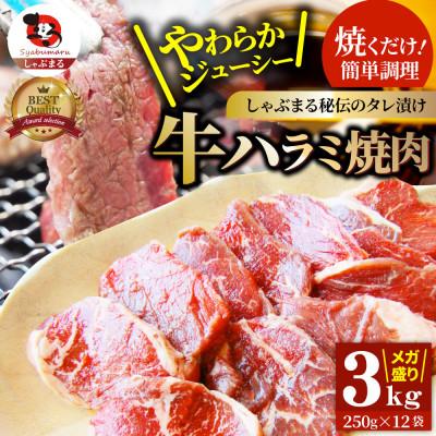 ふるさと納税 三木町 やわらか牛ハラミ焼肉 秘伝のタレ漬け3kg(250g×12P)