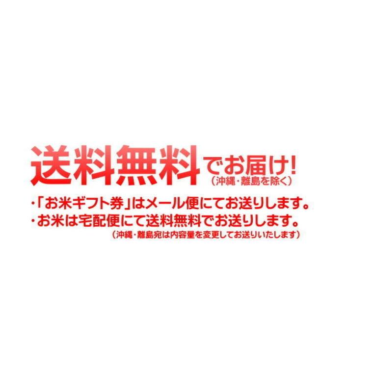 お米券 ギフト券 内祝い  送料無料 景品 お米ギフト お祝い 快気祝い 引越し祝い 香典返し